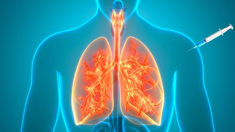 vaccin contre asthme efficace chez animaux