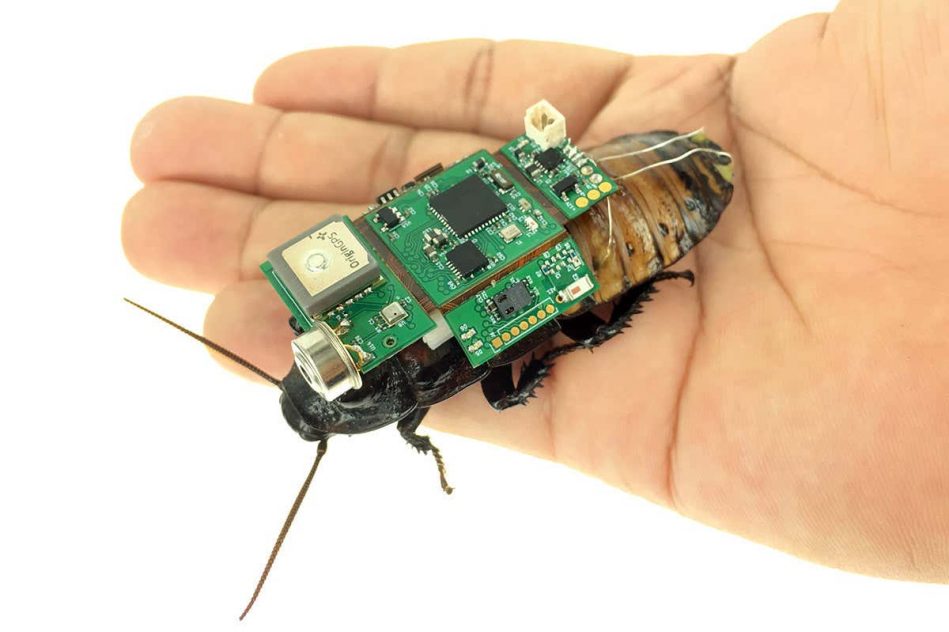 cafard cyborg camera peut etre dirige a distance