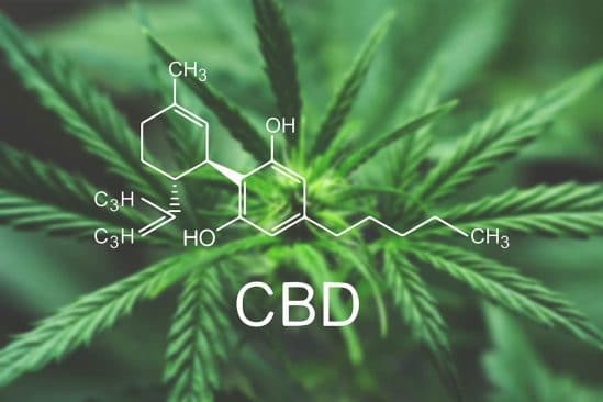 cbd pourquoi interesser cannabinoide