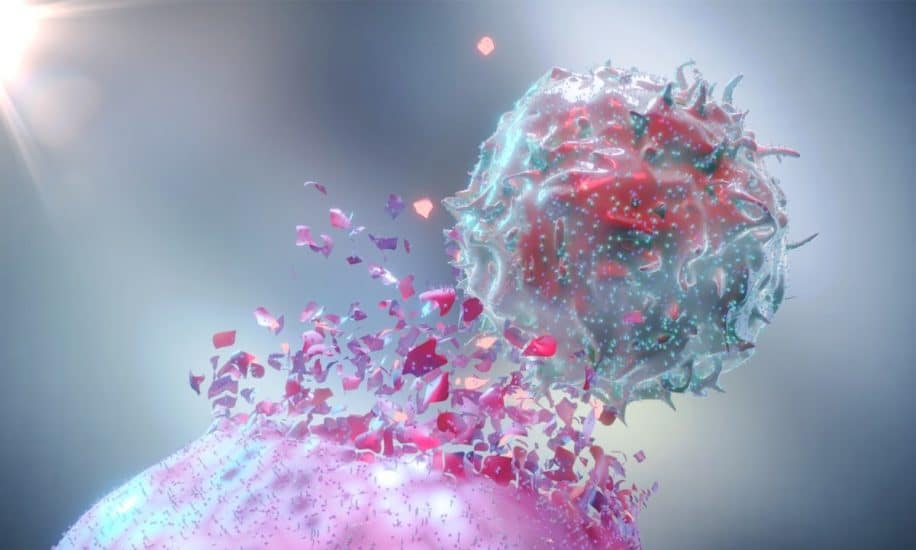 cellules genetiquement modifiees attaquent tumeurs epargnent cellules saines