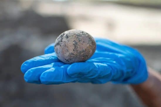decouverte oeuf poule intact vieux 1000 ans