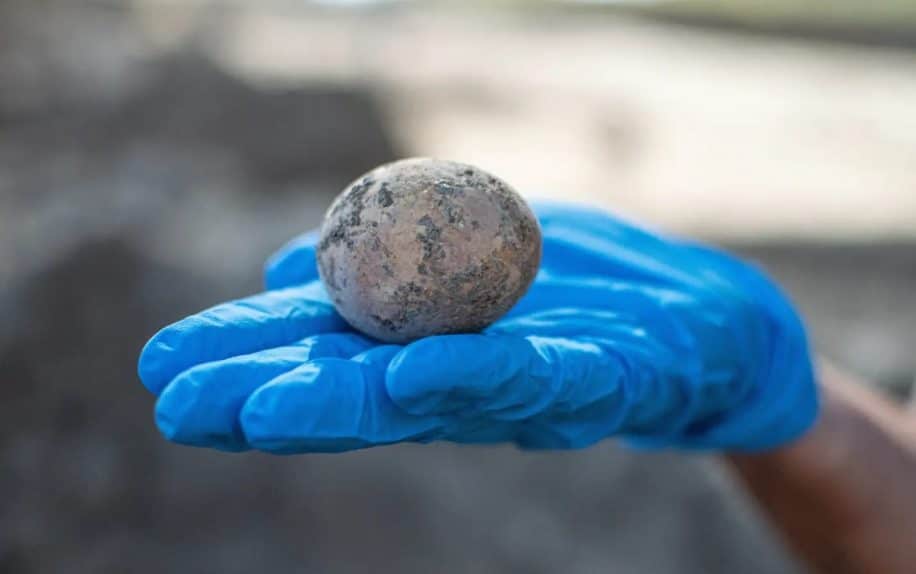 decouverte oeuf poule intact vieux 1000 ans