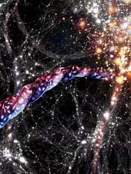filaments cosmiques sont aussi en rotation couv