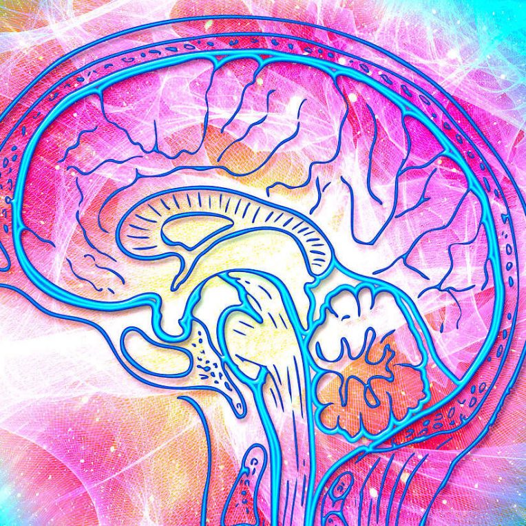 therapie psilocybine serait au moins aussi efficace que antidepresseurs conventionnels