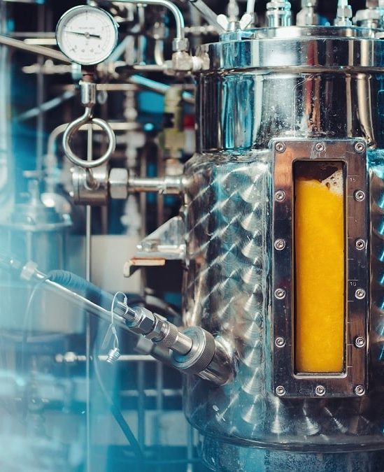 utiliser air energie solaire produire nourriture