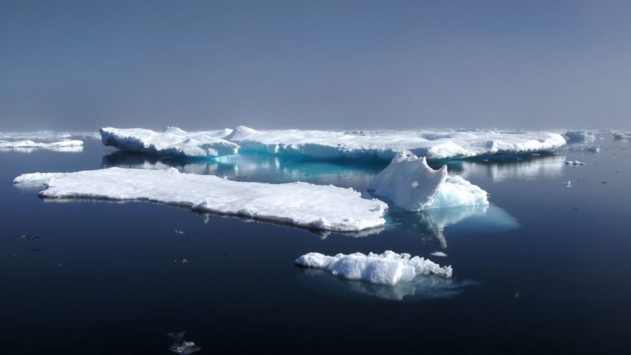 derniere zone glace pourrait pas survivre rechauffement climatique