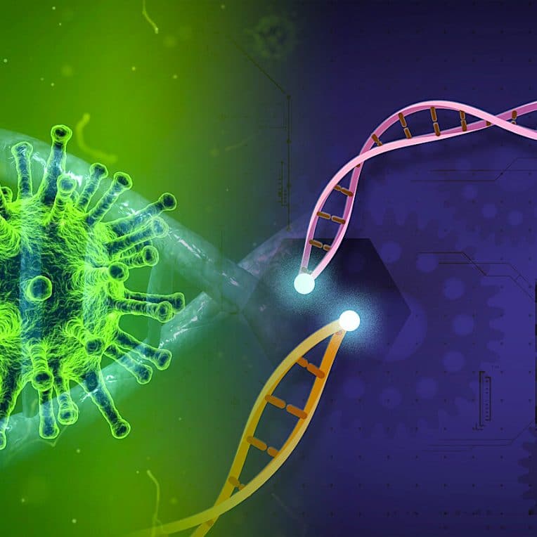 espoir traitement covid efficace outil edition genetique crispr bloque replication virus