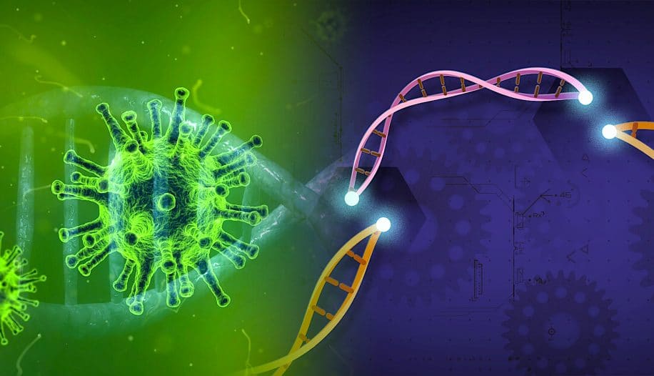 espoir traitement covid efficace outil edition genetique crispr bloque replication virus