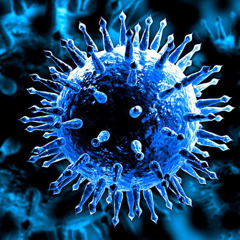 moderna commence essai sur homme vaccin grippe arnm