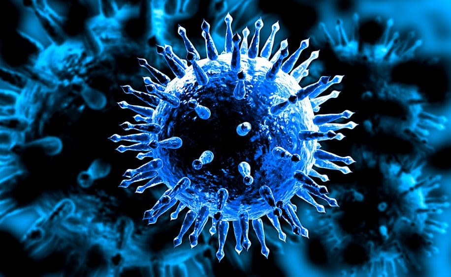 moderna commence essai sur homme vaccin grippe arnm