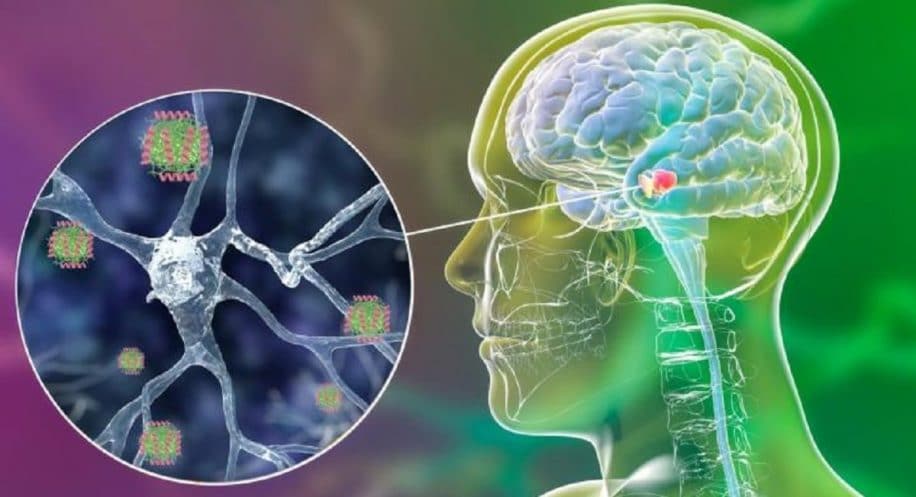 molecule humaine empeche activite toxique proteine maladie parkinson