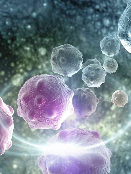 nouvelle molecule eradique cancer sein chez souris