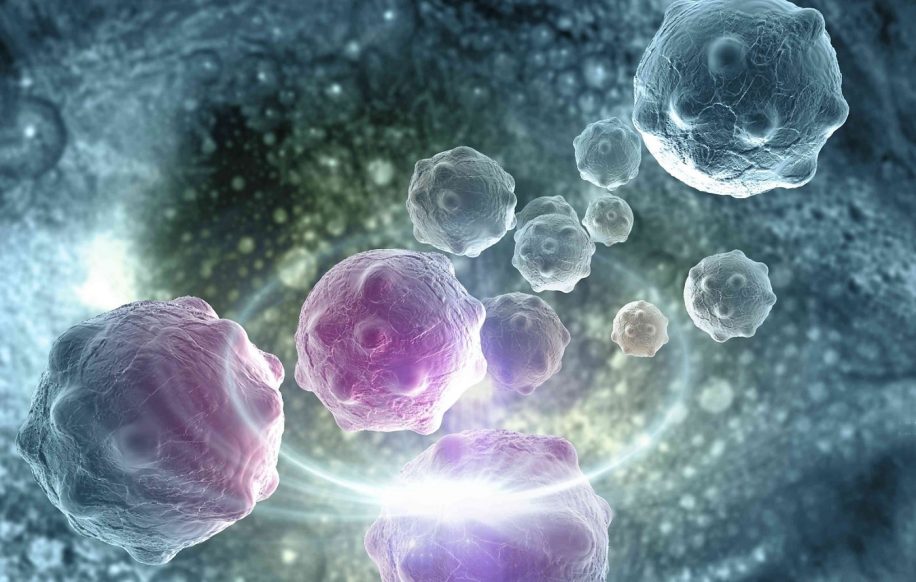 nouvelle molecule eradique cancer sein chez souris