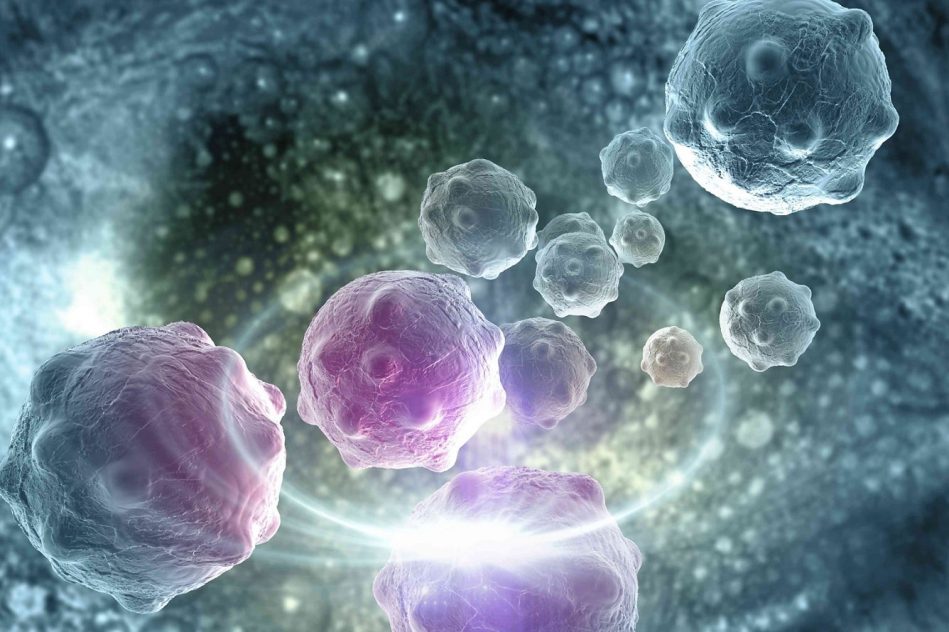 nouvelle molecule eradique cancer sein chez souris