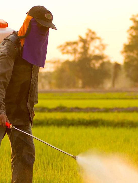 pesticides responsables lesions cerebrales enfants