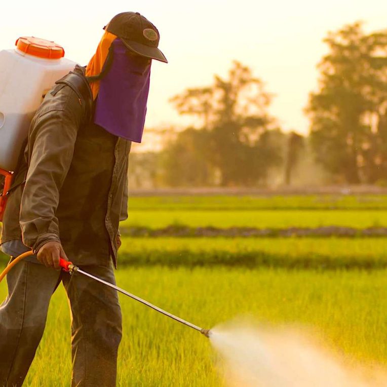 pesticides responsables lesions cerebrales enfants