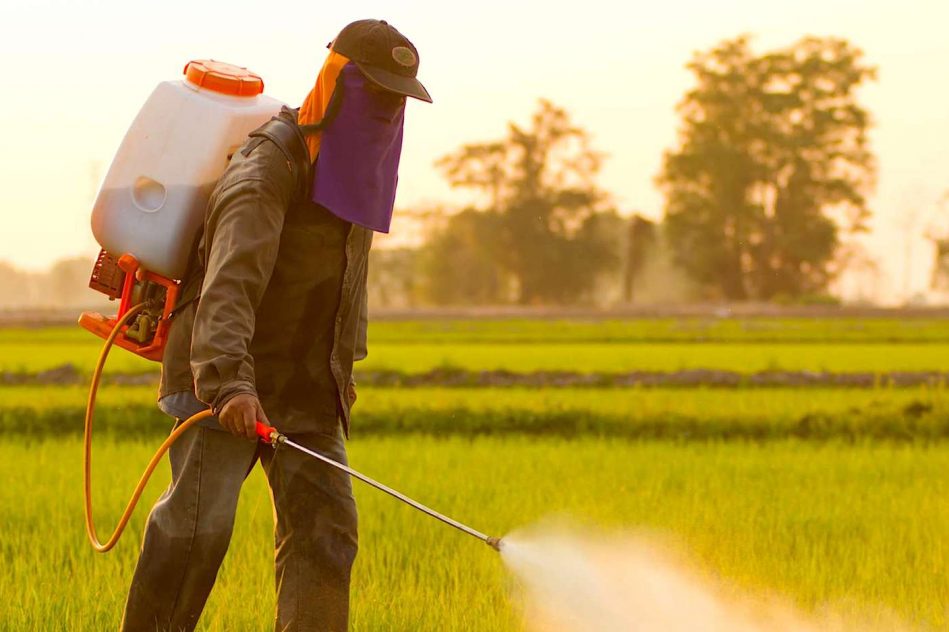 pesticides responsables lesions cerebrales enfants