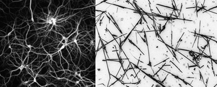 réseau nanofils état frontière chaos performance