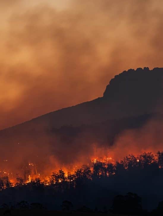 signes vitaux terre urgence climat