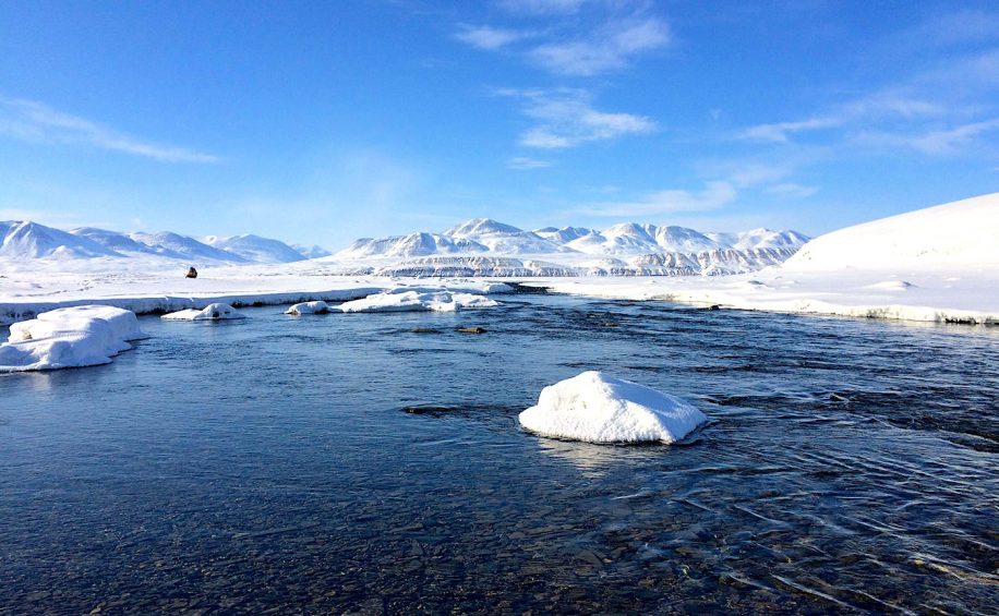 changement climatique augmente risque propagation virus anciens animaux arctique lac hazen