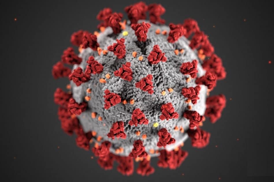 comment coronavirus infecte cellules
