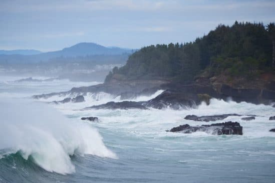 immense zone hypoxique ocean pacifique inquiete biologistes marins