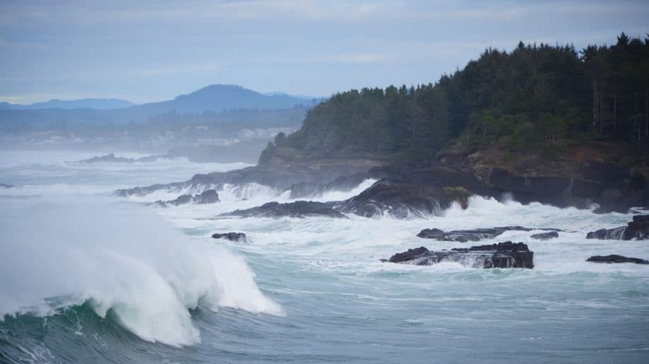 immense zone hypoxique ocean pacifique inquiete biologistes marins