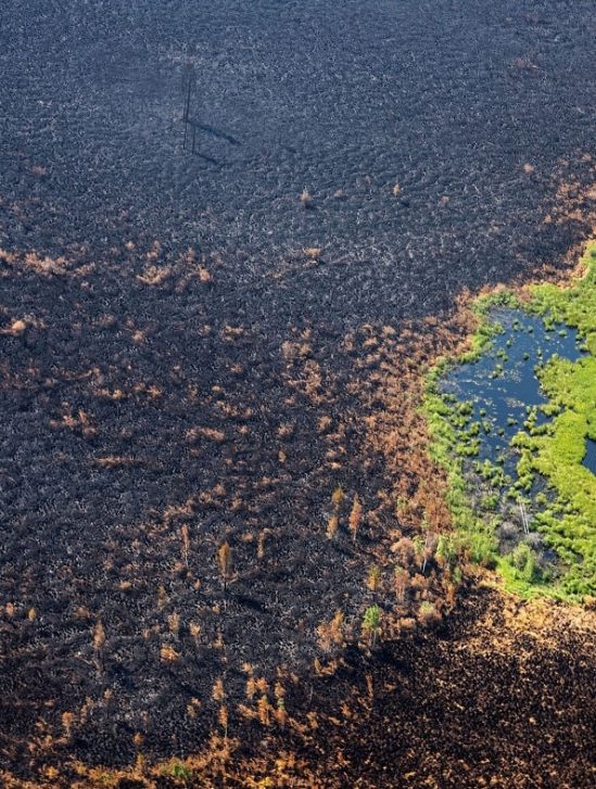 incendies siberie plus importants incendies combines