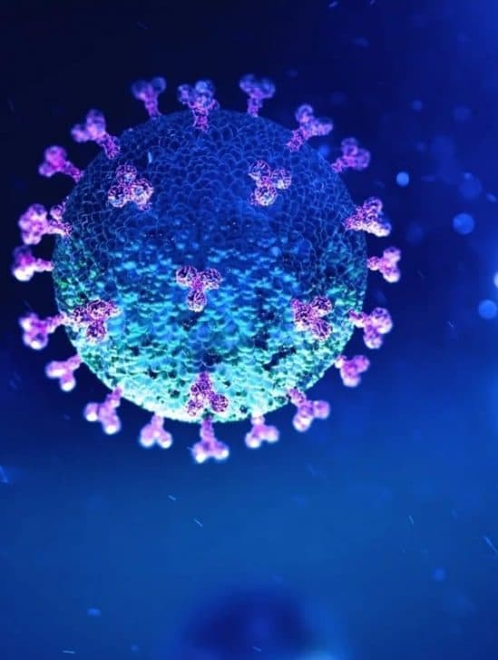 medicament anticholesterol reduit infection covid