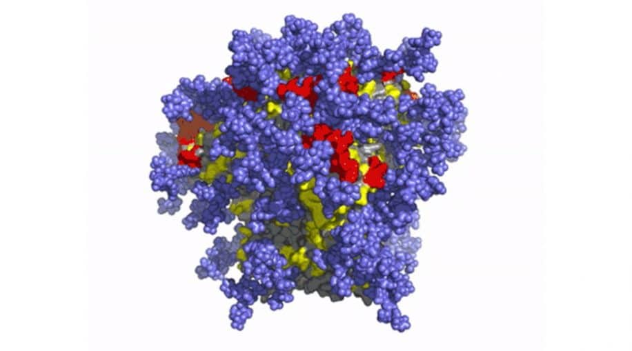 vaccin ARNm VIH Moderna