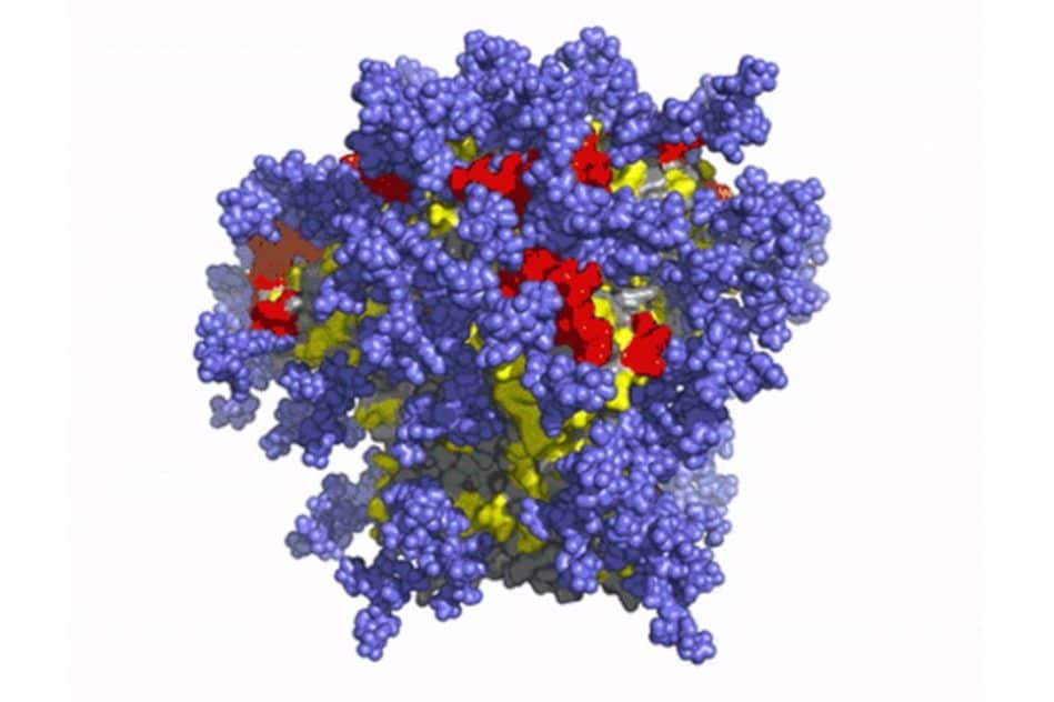 vaccin ARNm VIH Moderna