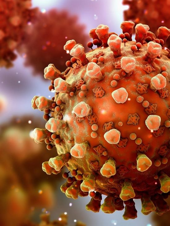 variant lambda resistance potentielle vaccins