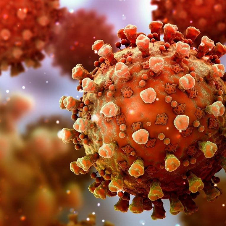variant lambda resistance potentielle vaccins