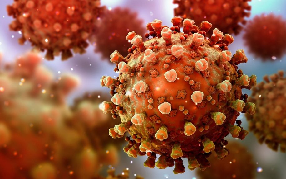 variant lambda resistance potentielle vaccins