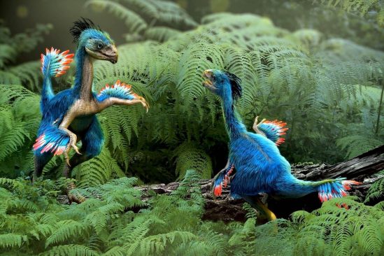cartilage dinosaure fossilise revele cellules extremement bien conservees