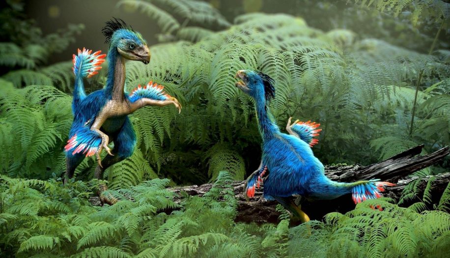 cartilage dinosaure fossilise revele cellules extremement bien conservees