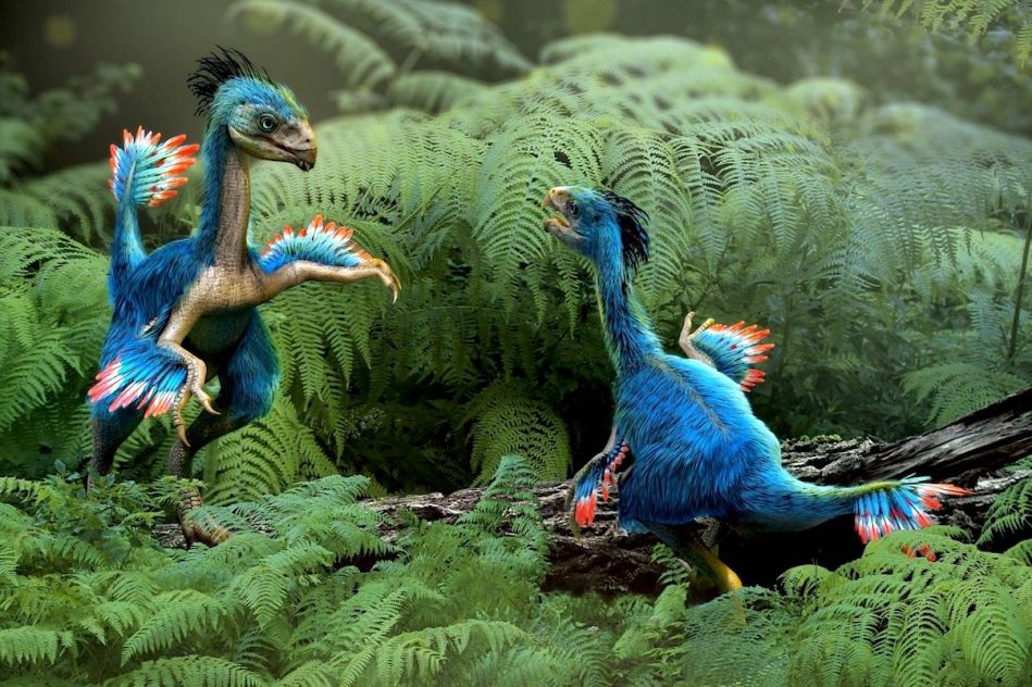 cartilage dinosaure fossilise revele cellules extremement bien conservees