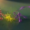 chercheurs developpent nouvelle technologie communication cellules ordinateurs