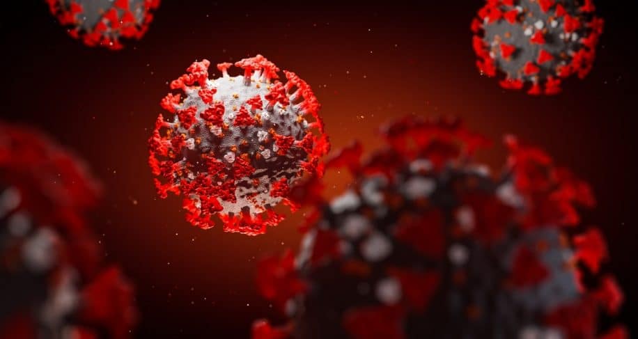 covid proteine pointe modifie cellules niveau coeur