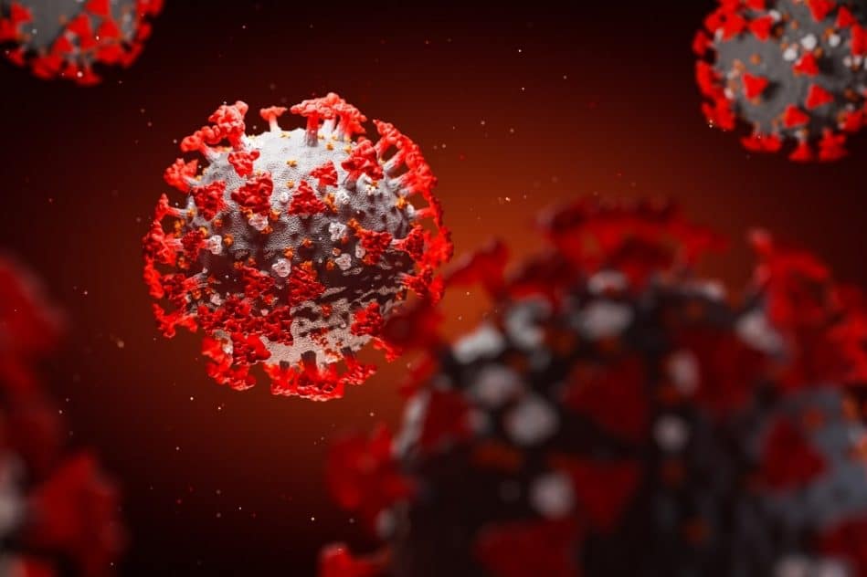 covid proteine pointe modifie cellules niveau coeur