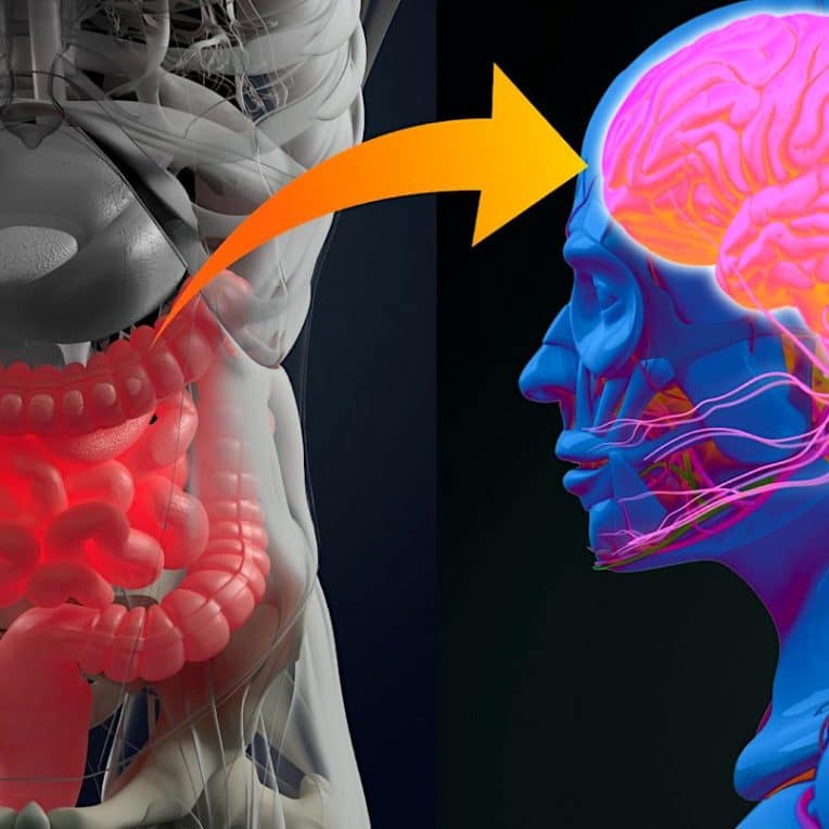 depression troubles bipolaires schizophrenie partagent similitudes bacteries intestinales