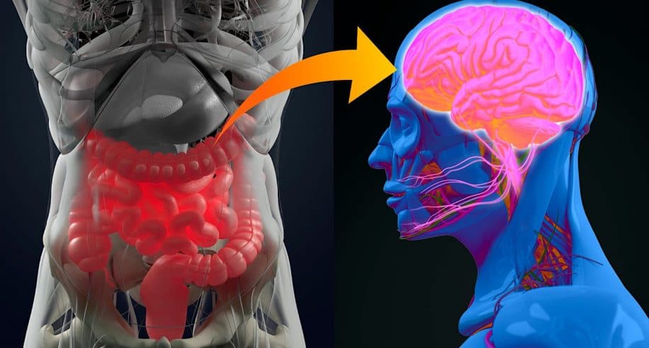 depression troubles bipolaires schizophrenie partagent similitudes bacteries intestinales