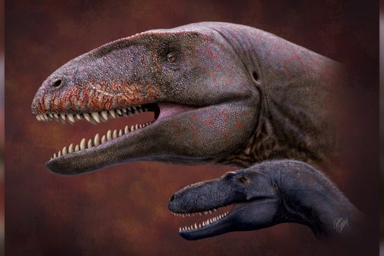 dinosaure superprédateur crétacé