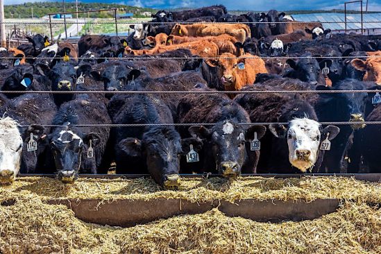 emissions production alimentaire representent plus un tiers total mondial
