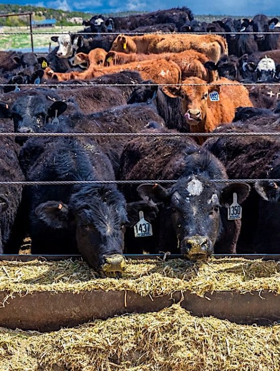 emissions production alimentaire representent plus un tiers total mondial