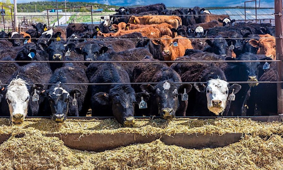 emissions production alimentaire representent plus un tiers total mondial