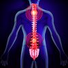 implant neuronal minuscule pourrait redonner blesses medullaires controle membres