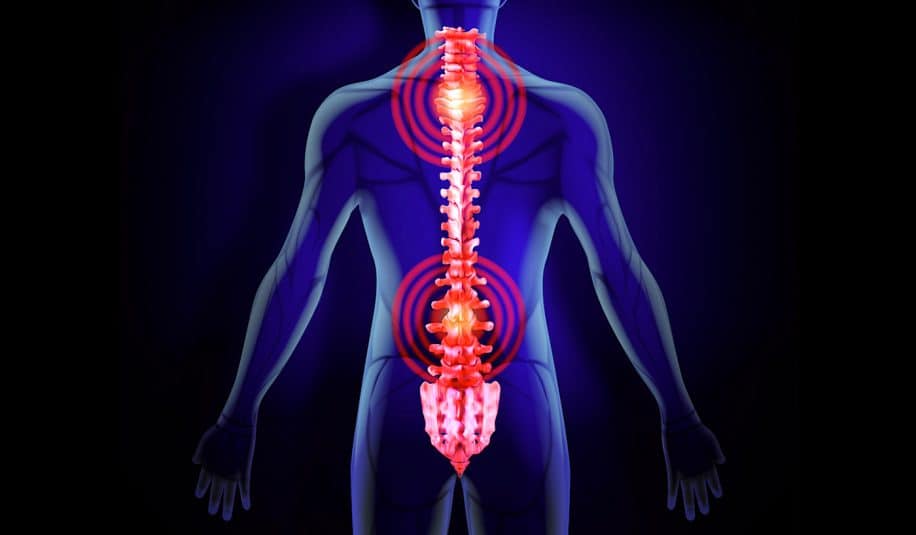 implant neuronal minuscule pourrait redonner blesses medullaires controle membres