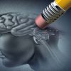 nouvelle etude identifie cause probable maladie alzheimer