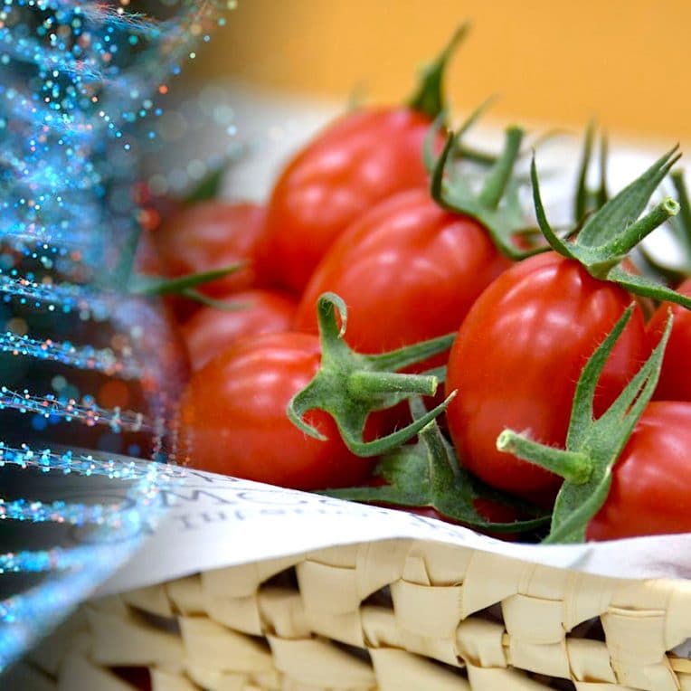 tomate premier aliment genetiquement modifie crispr mis en vente